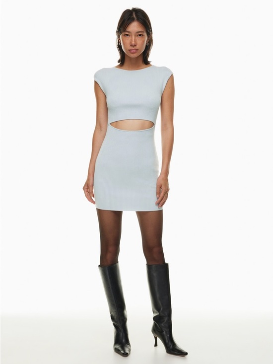 Wilfred Dresses & Skirts - Aritzia Wilfred Free Cut-Out Knit Mini Dress